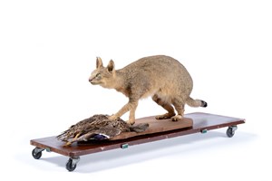 Image description is not available for 2012.1.1